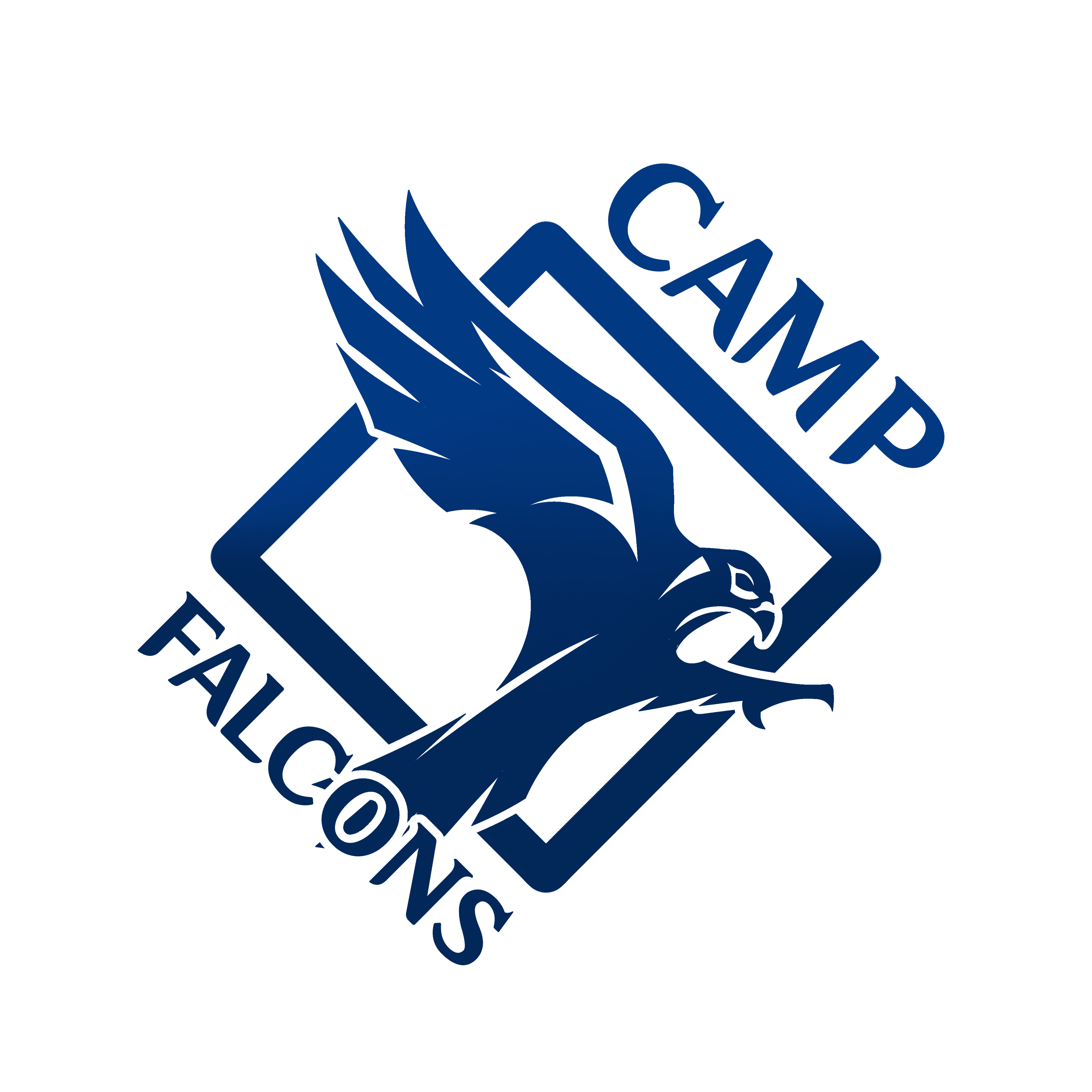 CAMP Falcons