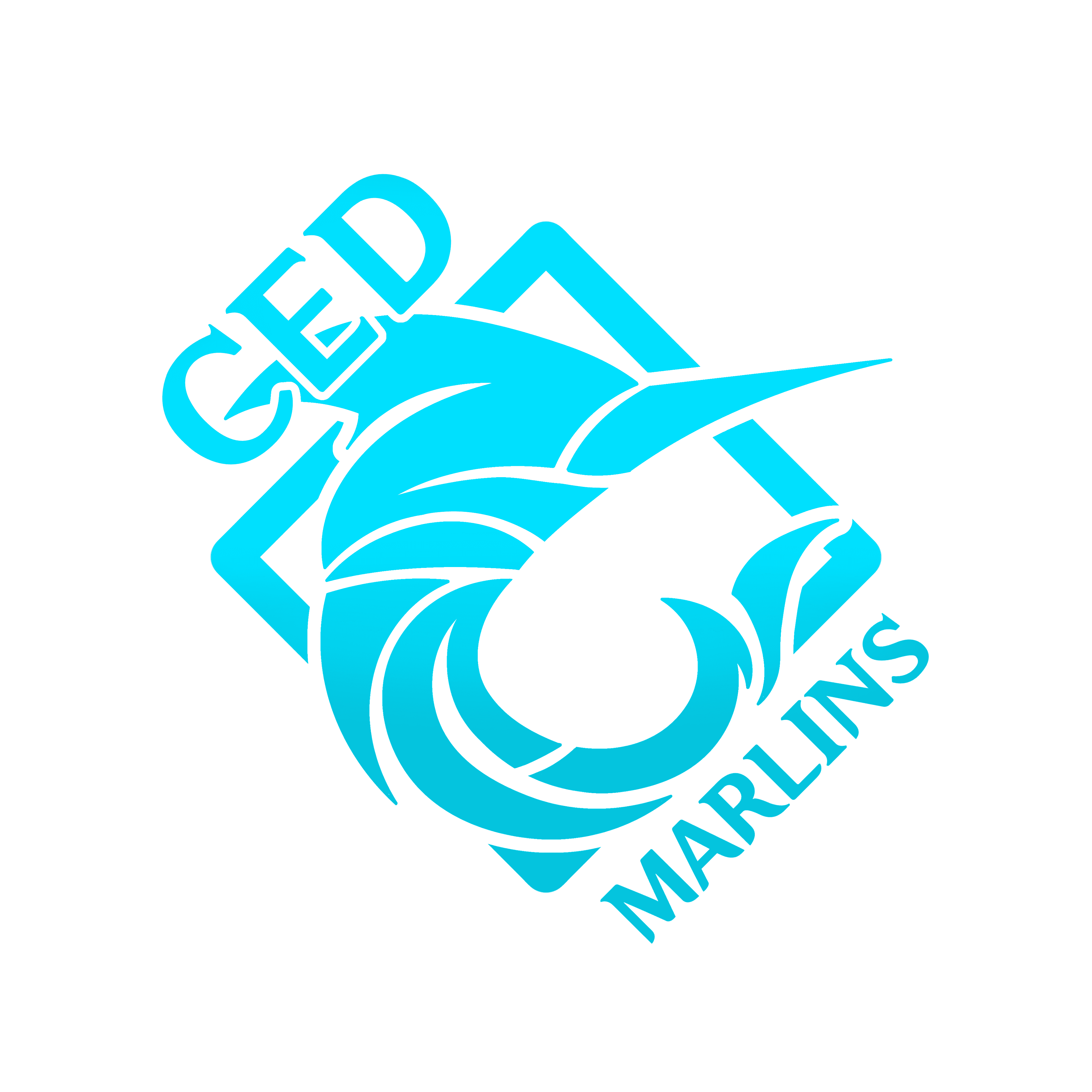 CED Marlins